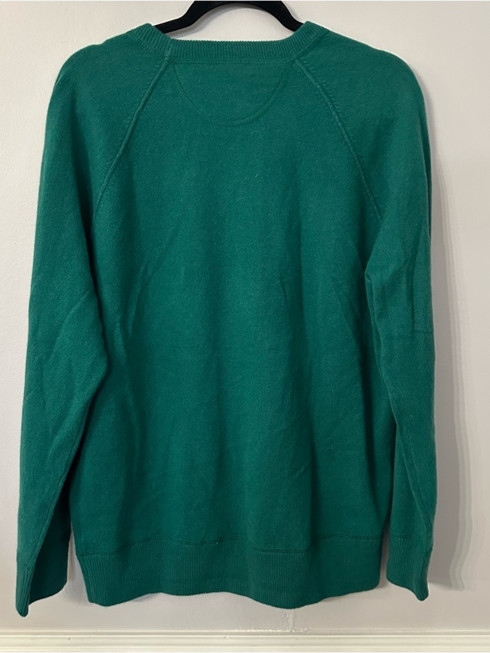 Ae77 American Eagle Women's Long Sleeve Cashmere Crewneck Sweater Sz L NWT - Picture 6 of 6
